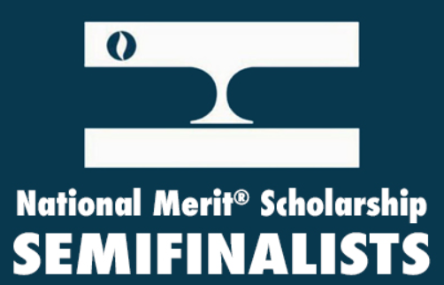  NMS logo